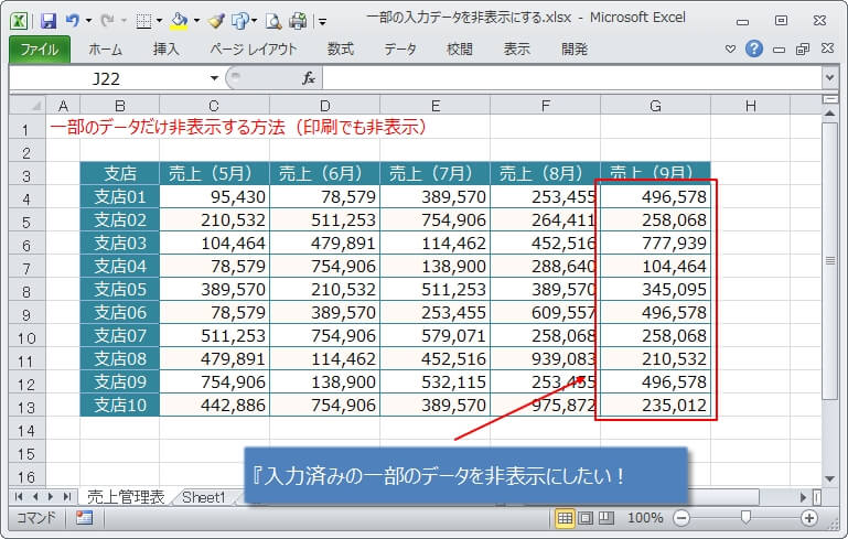 エクセルで入力済みデータの一部を非表示にする