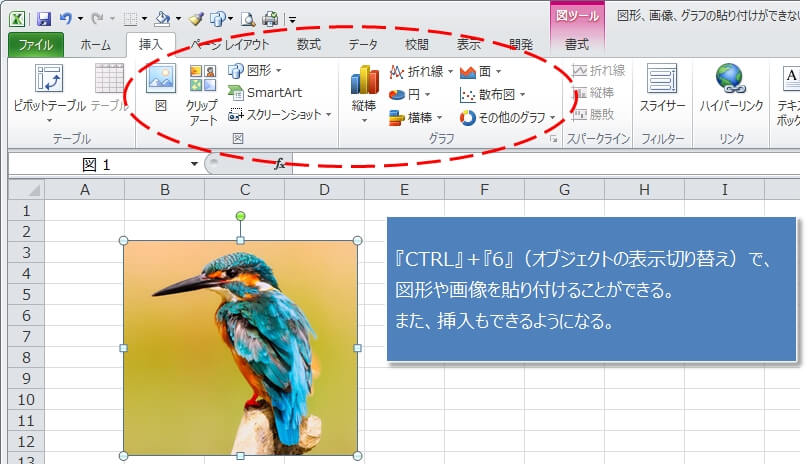 エクセルの図形や画像を貼り付け 挿入 できない時の対応 エクセルtips