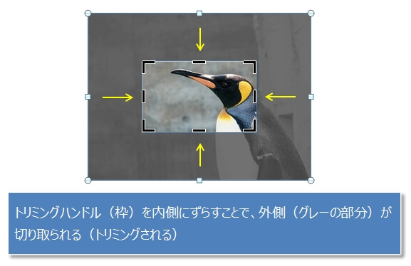 画像を矩形（四角）の形にトリミングする