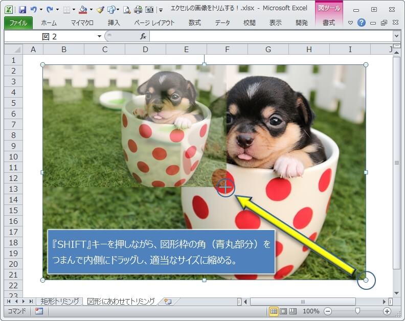 エクセルで画像をいろんな形にトリミングしてみる エクセルtips