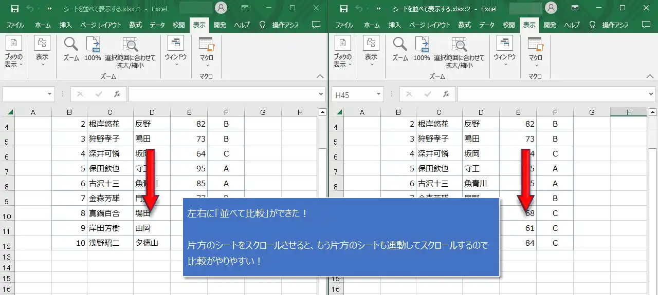 同じシートを左右に並べて表示する